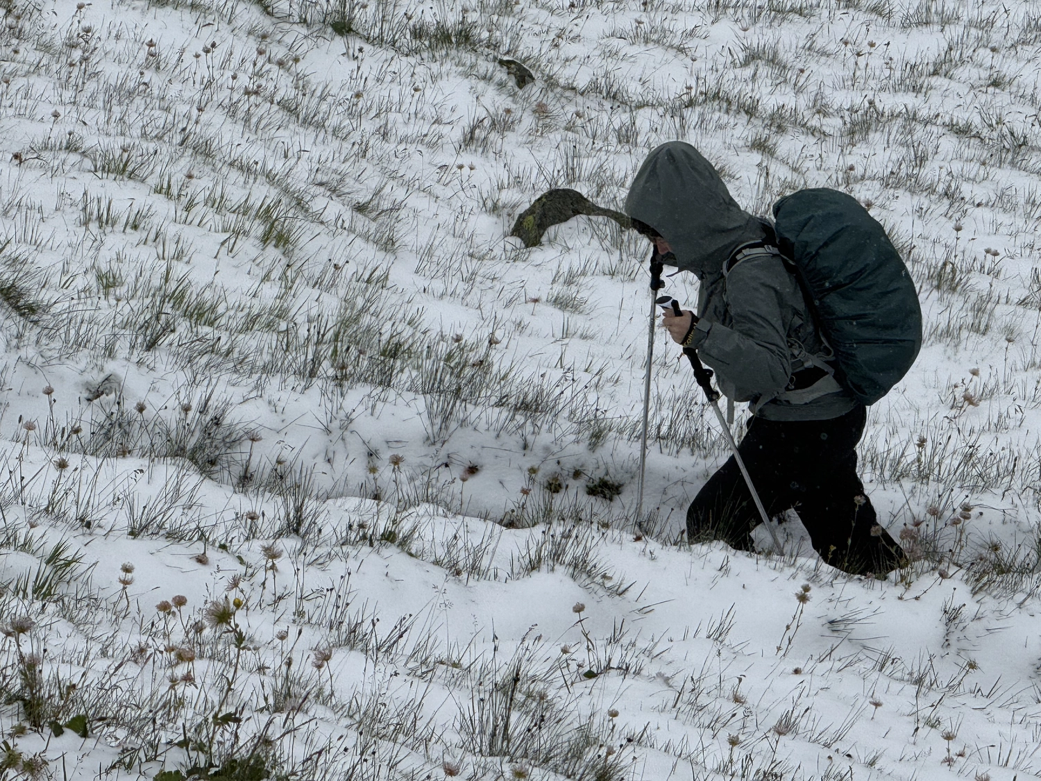 Coaching in Bewegung Alpenüberquerung