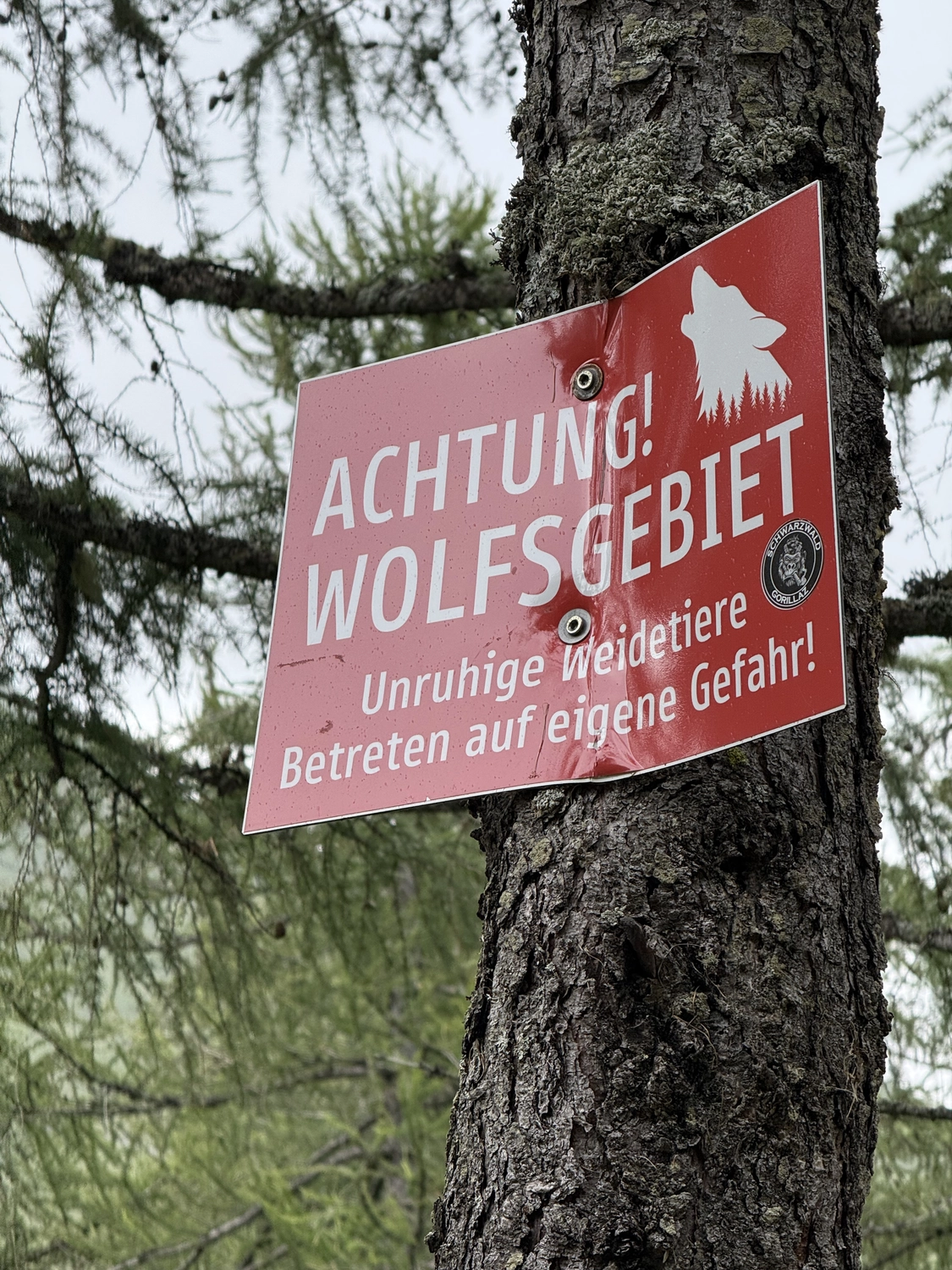 Coaching in Bewegung Alpenüberquerung