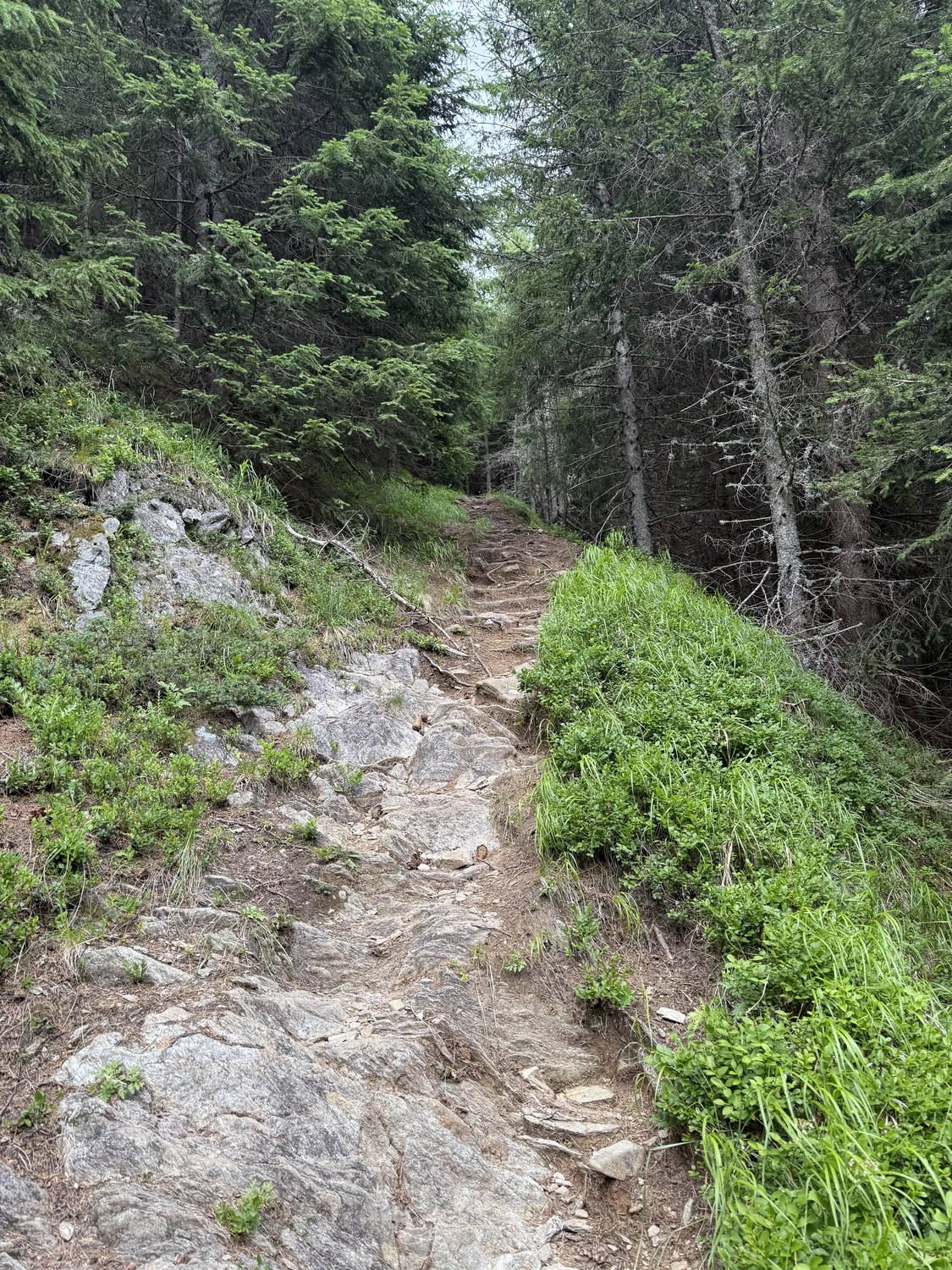 Mentale Stärke aufbauen beim Wandern