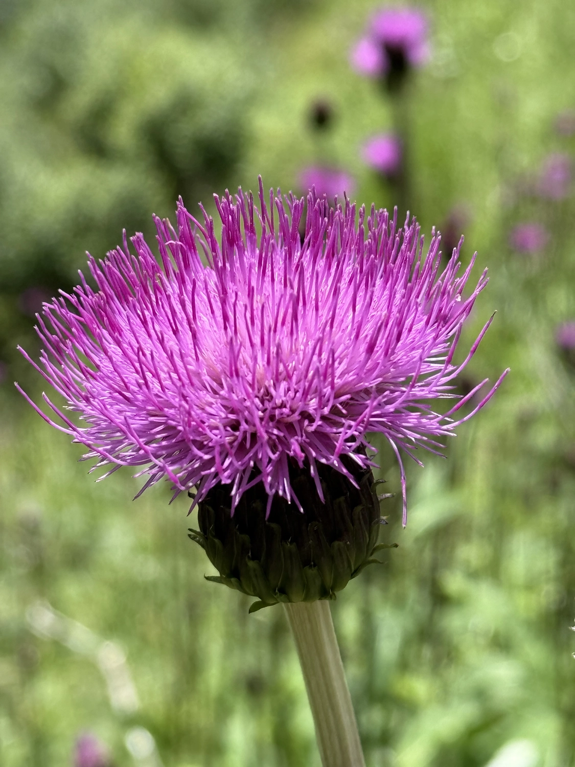 Mentale Stärke aufbauen beim Wandern