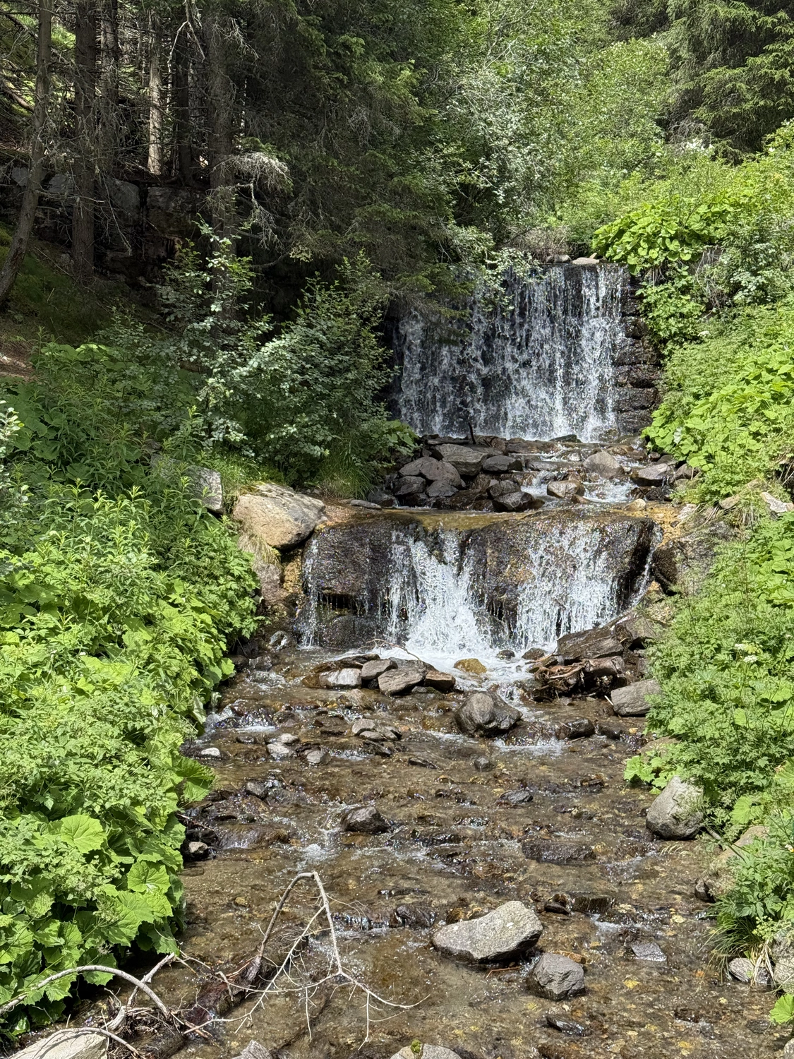 Mentale Stärke aufbauen beim Wandern